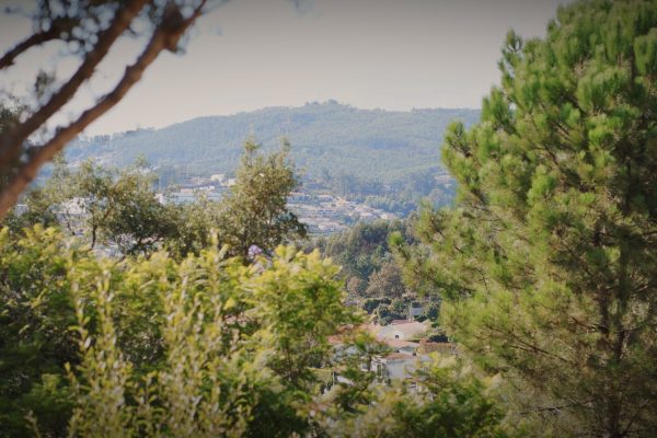 Timeline 1_01_00_00_00 Timeline 1_01_00_00_00